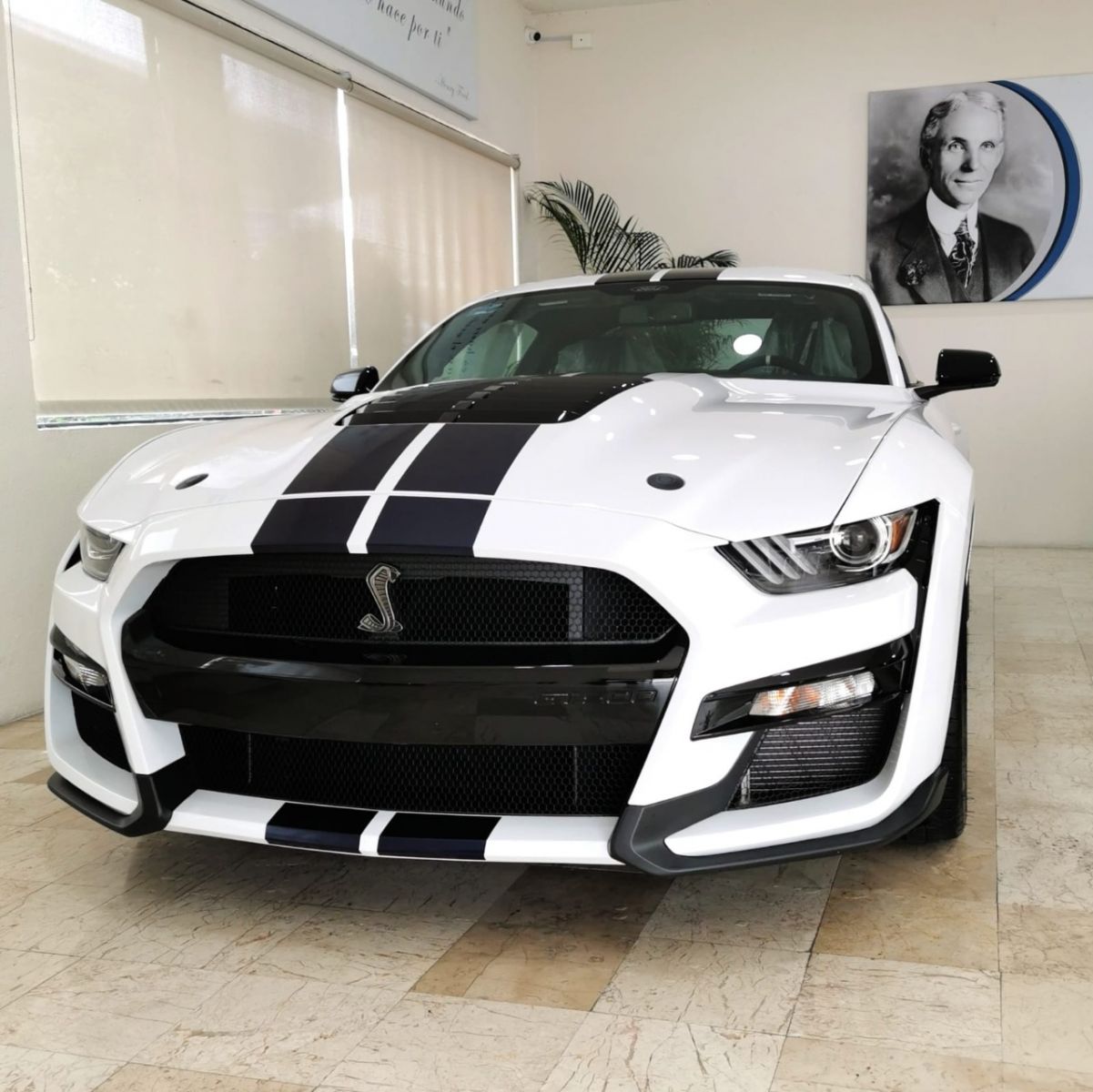 2021 FORD MUSTANG SHELBY